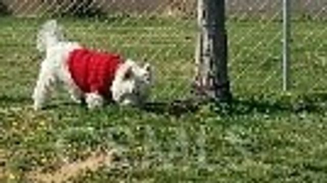 21621 Sandia Road 127, Apple Valley, CA 92308