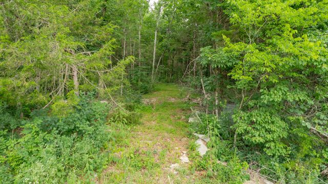 0 Morgan Rd, Rockvale, TN 37153