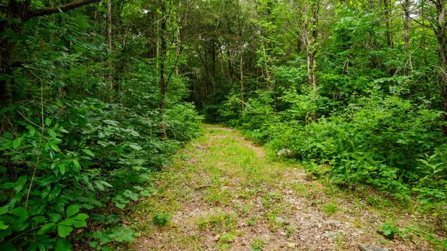 0 Morgan Rd, Rockvale, TN 37153