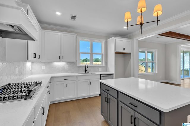 1717 BLACKRIDGE CIRCLE, Hoover, AL 35244
