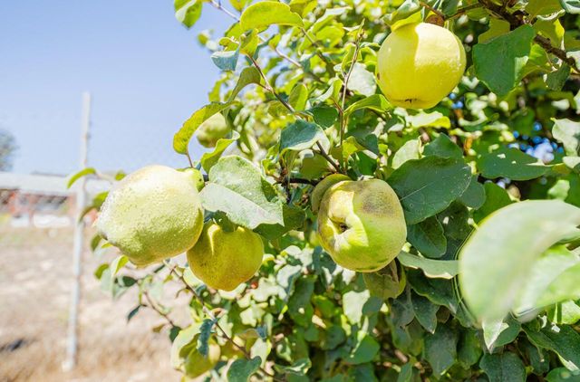 17945 Pesante Road, Salinas, CA 93907