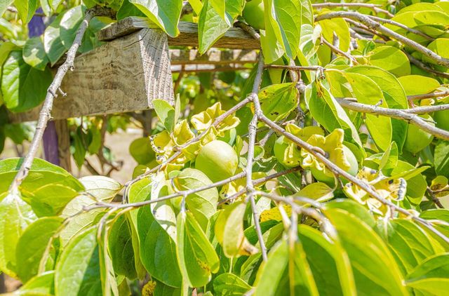 17945 Pesante Road, Salinas, CA 93907