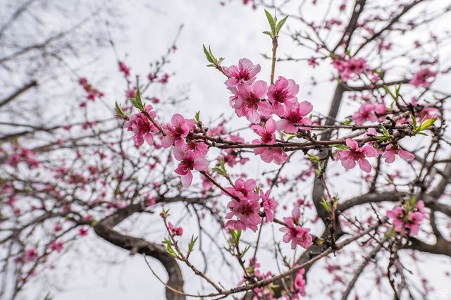 4963 S 2275 W, Roy, UT 84067