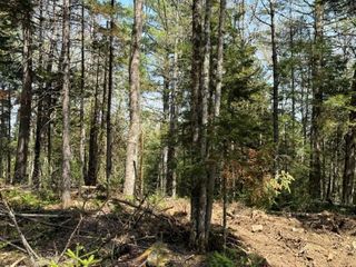 Lot 3 NH Route 4A, Grafton, NH 03240