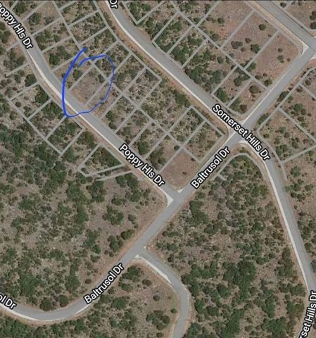 170 Poppy Hills Drive, Graford, TX 76449