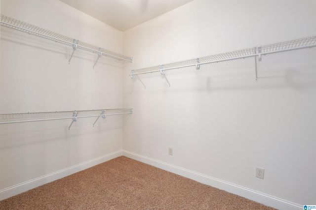 250 FARM COURT, Springville, AL 35146