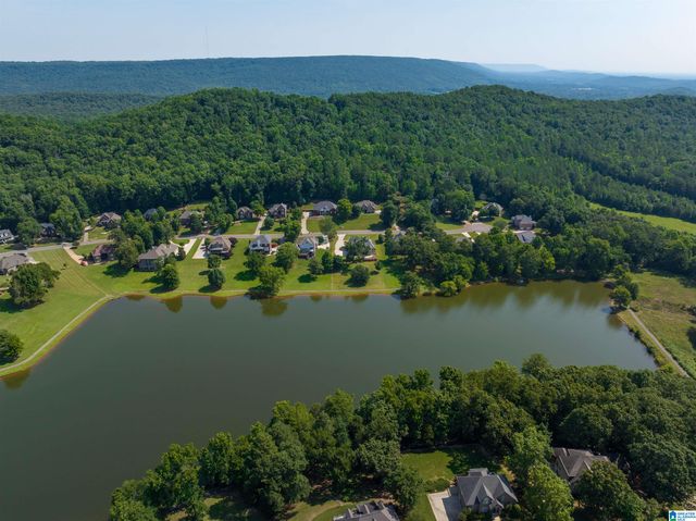 250 FARM COURT, Springville, AL 35146