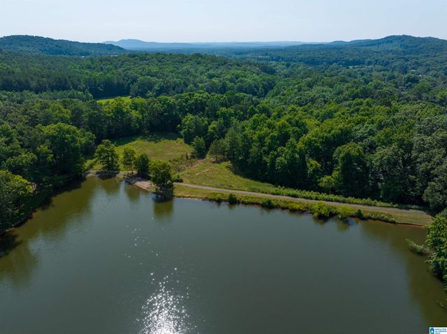 250 FARM COURT, Springville, AL 35146