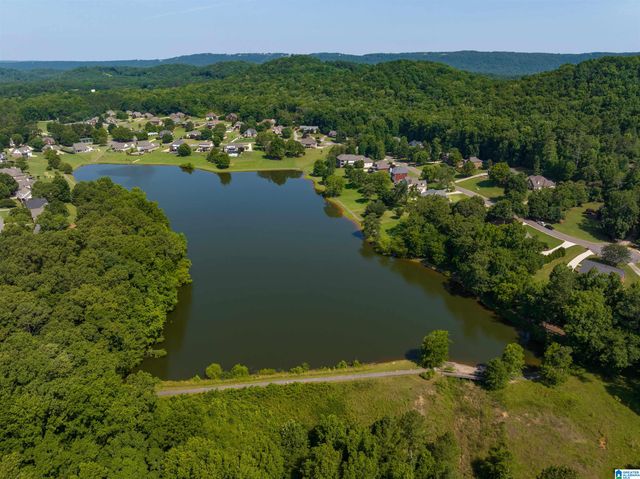 250 FARM COURT, Springville, AL 35146