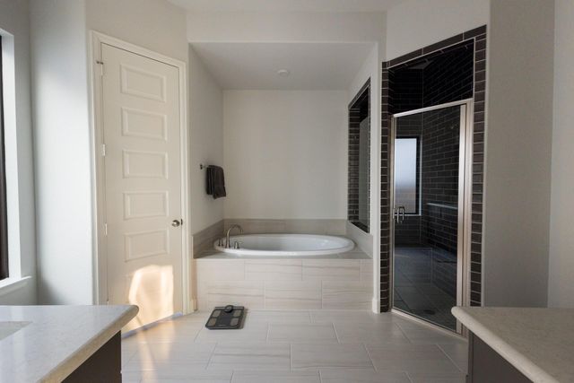 15273 Tree Swallow Court, Magnolia, TX 77354