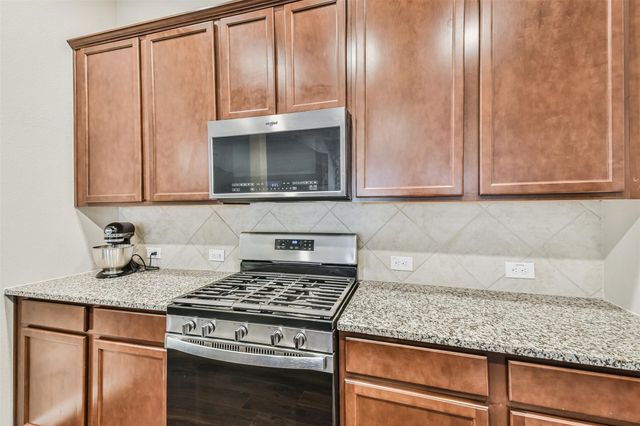 19111 Friesian Stallion Lane, Tomball, TX 77377