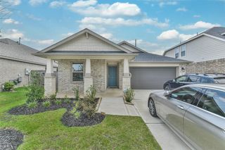 19111 Friesian Stallion Lane, Tomball, TX 77377