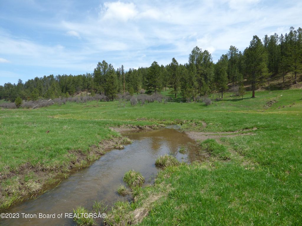 140 COW CAMP Road, Sundance, WY 82729 photo 104