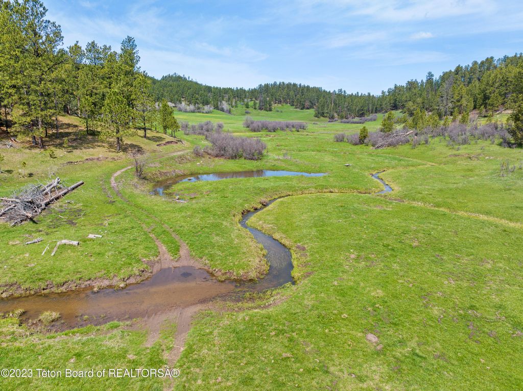 140 COW CAMP Road, Sundance, WY 82729 photo 18