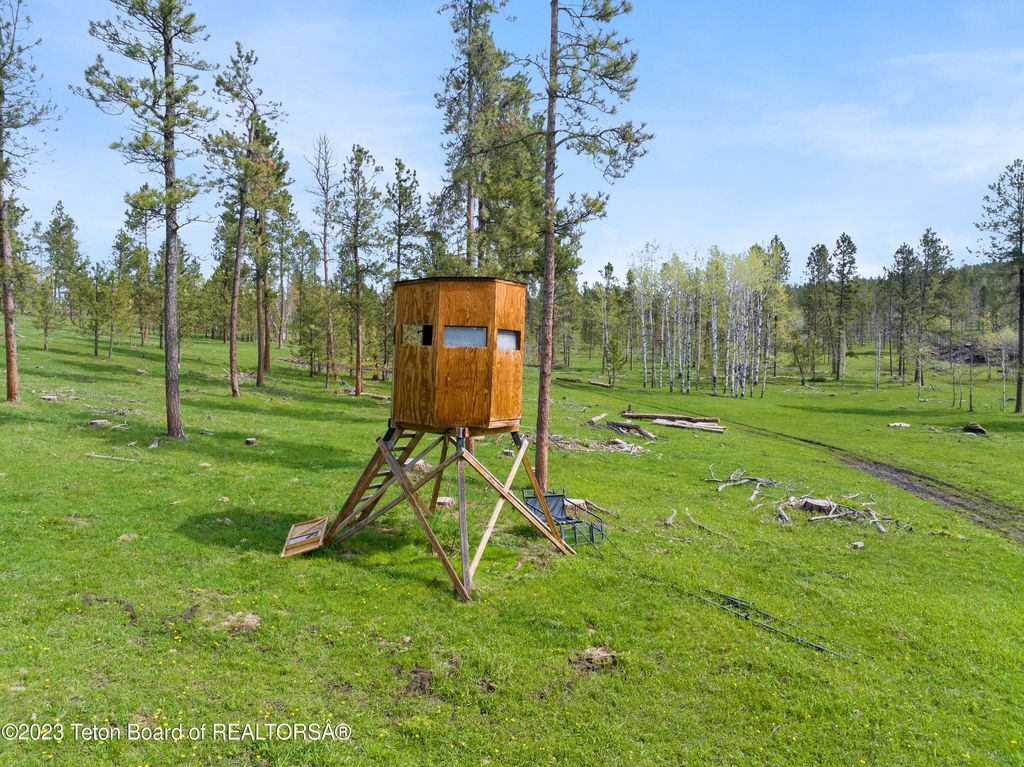 140 COW CAMP Road, Sundance, WY 82729 photo 22