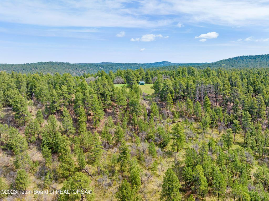 140 COW CAMP Road, Sundance, WY 82729 photo 23