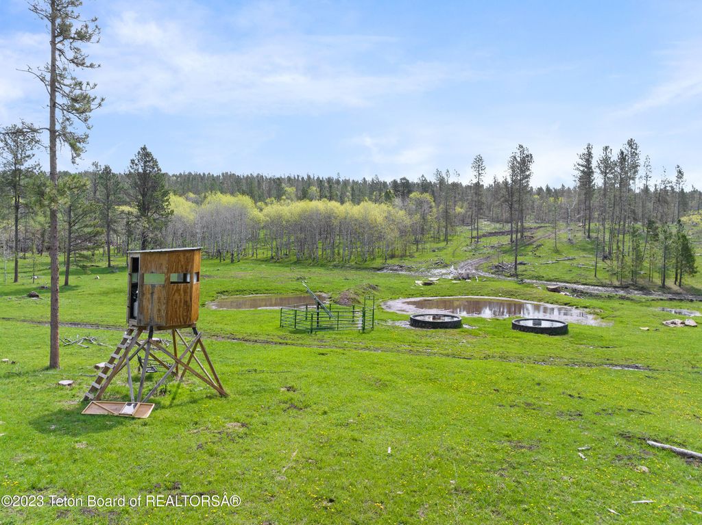 140 COW CAMP Road, Sundance, WY 82729 photo 27