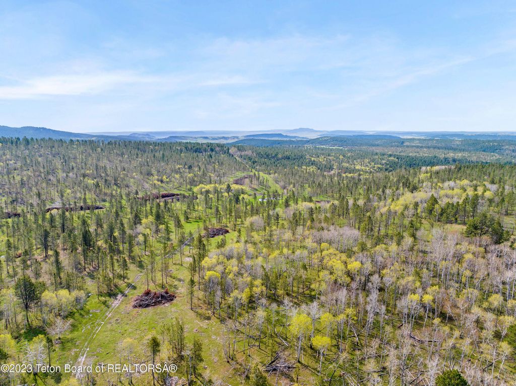 140 COW CAMP Road, Sundance, WY 82729 photo 33