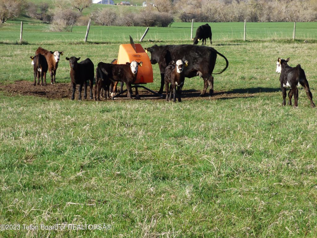 140 COW CAMP Road, Sundance, WY 82729 photo 46