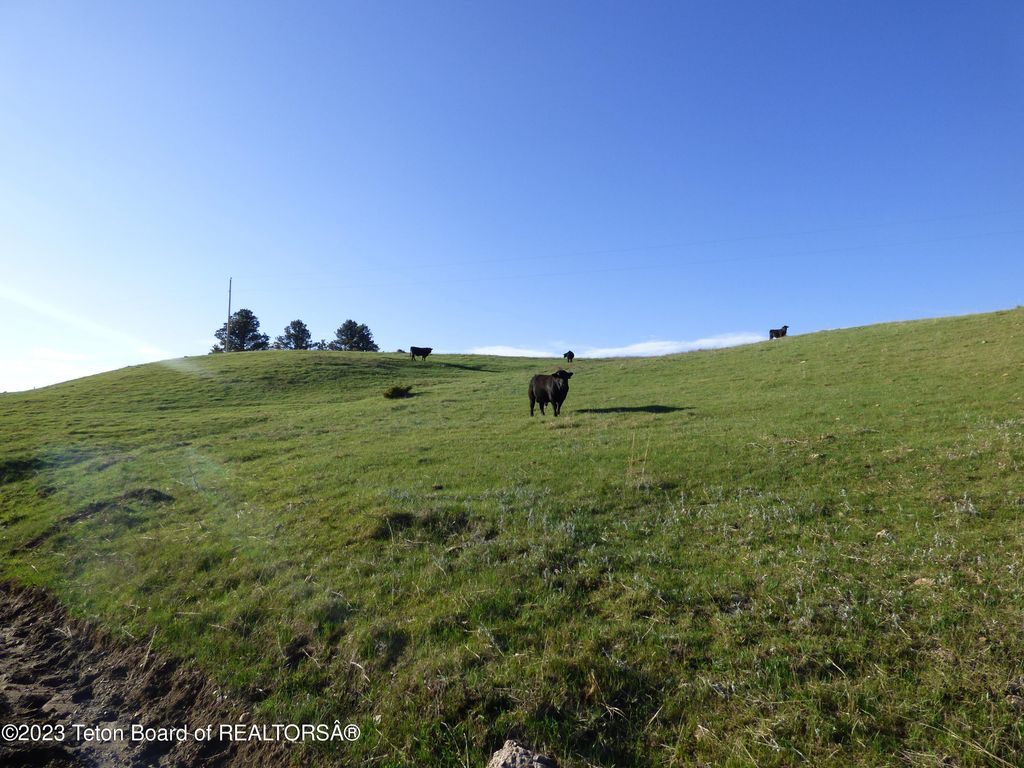 140 COW CAMP Road, Sundance, WY 82729 photo 49
