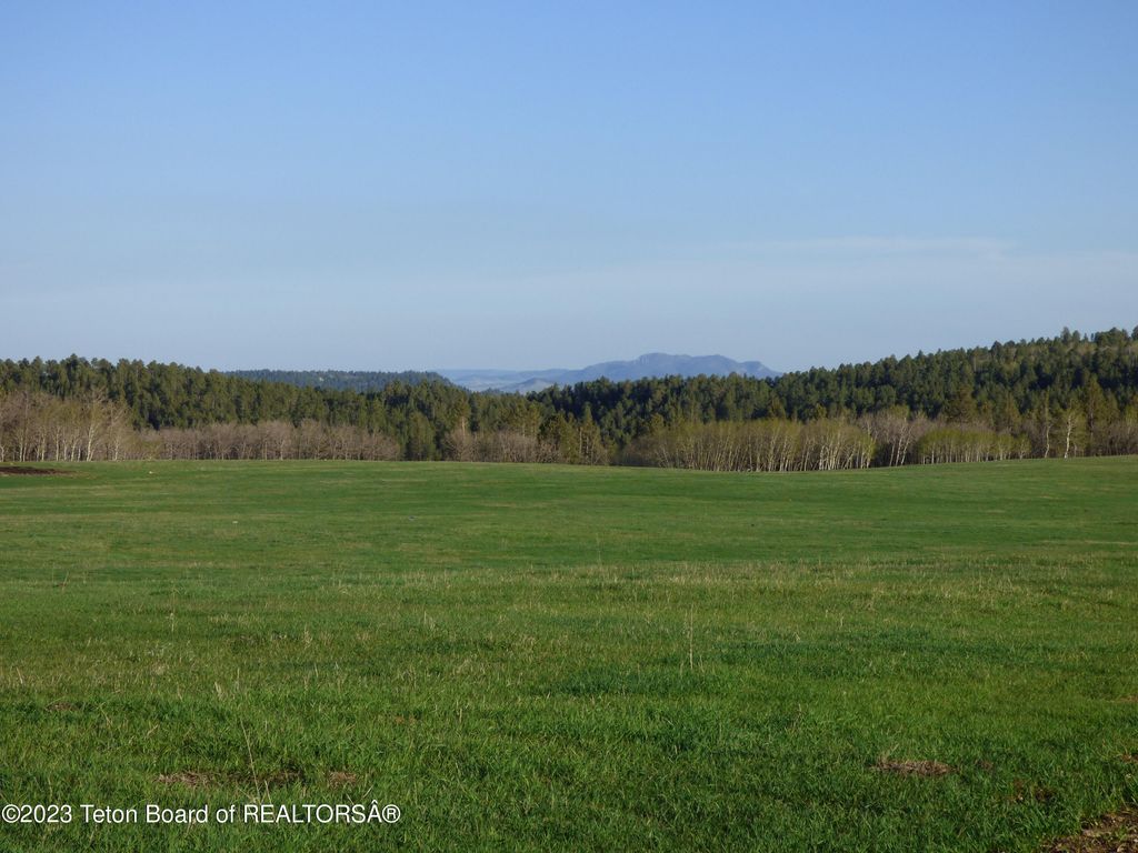 140 COW CAMP Road, Sundance, WY 82729 photo 55