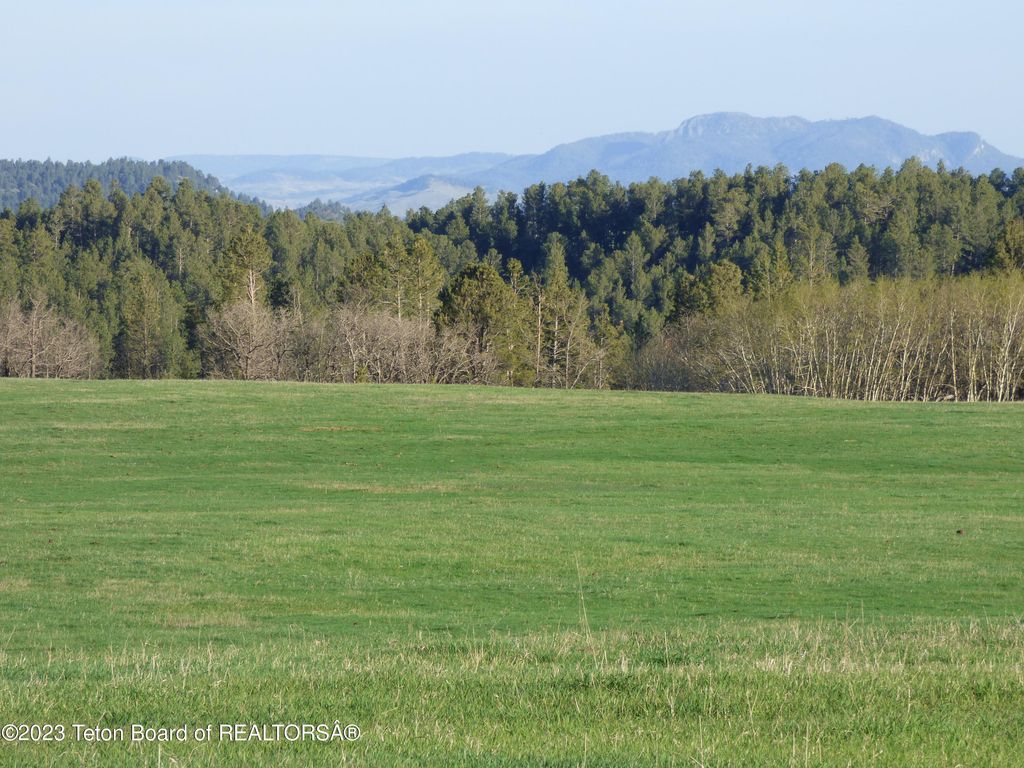 140 COW CAMP Road, Sundance, WY 82729 photo 57