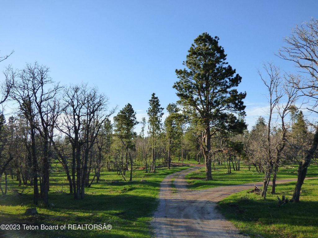 140 COW CAMP Road, Sundance, WY 82729 photo 62