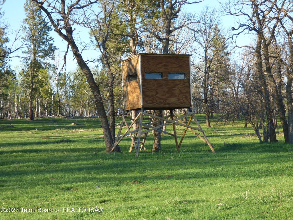 140 COW CAMP Road, Sundance, WY 82729 photo 70