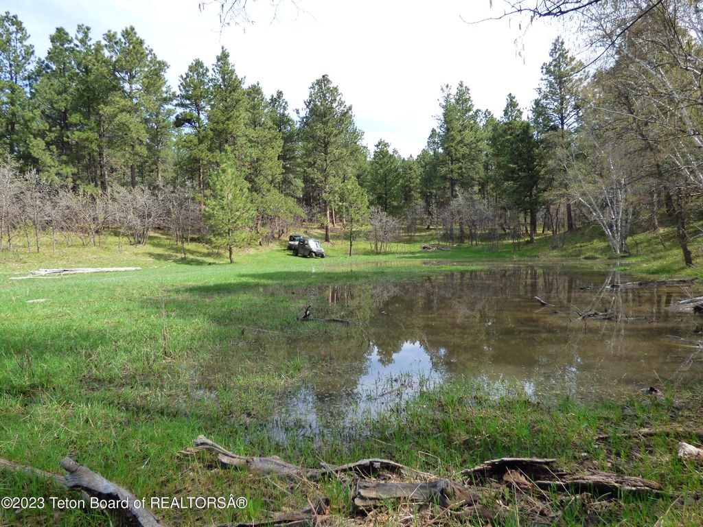 140 COW CAMP Road, Sundance, WY 82729 photo 84
