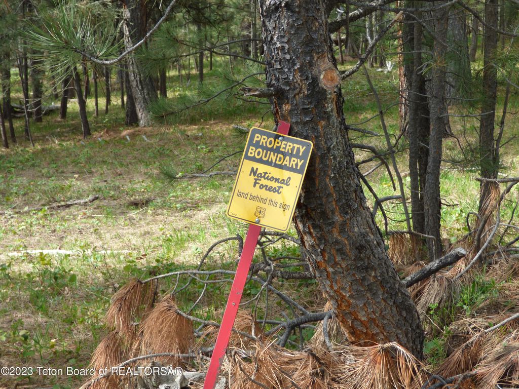 140 COW CAMP Road, Sundance, WY 82729 photo 87