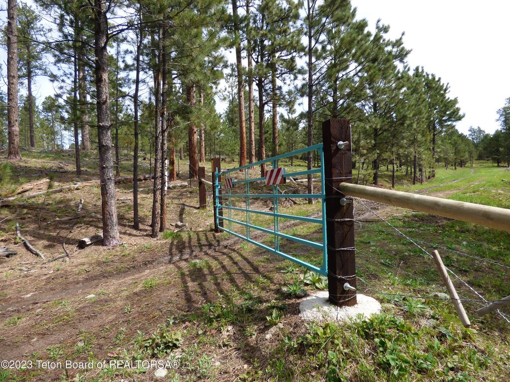 140 COW CAMP Road, Sundance, WY 82729 photo 88