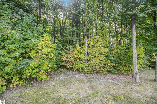 220 Parkview Drive, Kingsley, MI 49649