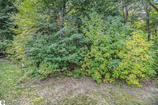 220 Parkview Drive, Kingsley, MI 49649