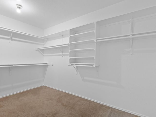 4125 Licorice LN, Austin, TX 78728