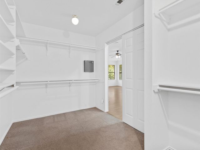 4125 Licorice LN, Austin, TX 78728