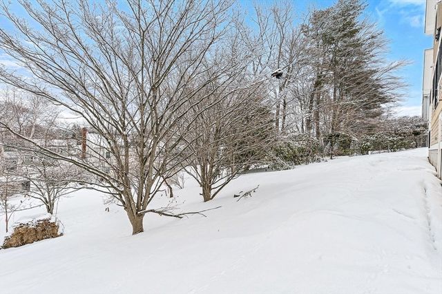 9 Albamont Road, Winchester, MA 01890