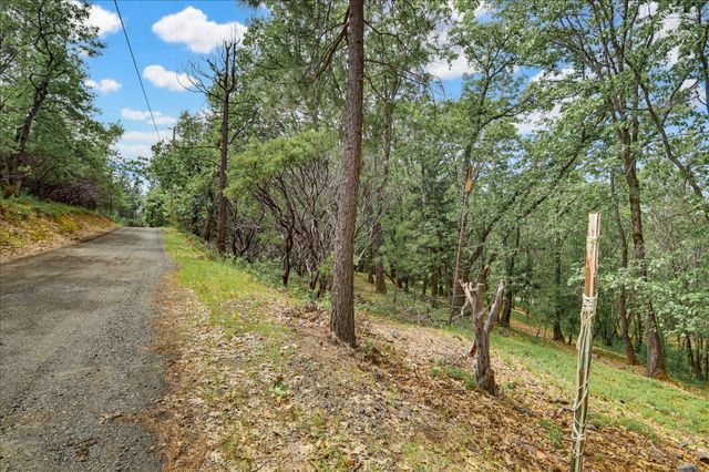 26825 Rockrose Ln, Colfax, CA 95713