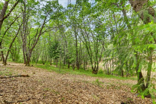 26825 Rockrose Ln, Colfax, CA 95713
