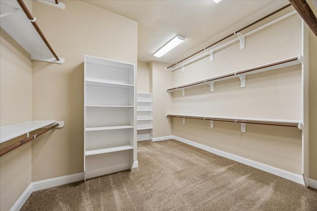 14123 Spindle Arbor Road, Cypress, TX 77429