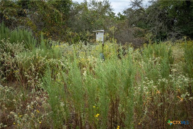 1078 Mueller Lang Road, Cuero, TX 77954