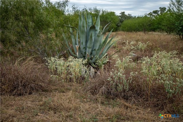 1078 Mueller Lang Road, Cuero, TX 77954