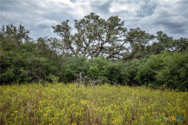 1078 Mueller Lang Road, Cuero, TX 77954
