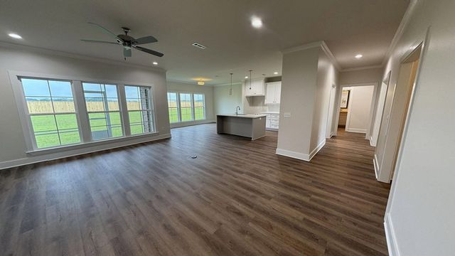 295 Adkinson, Newton, AL 36352