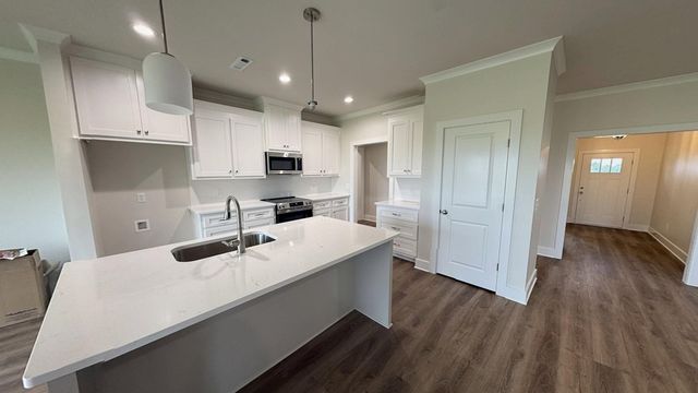 295 Adkinson, Newton, AL 36352