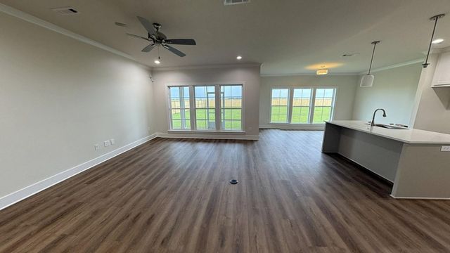 295 Adkinson, Newton, AL 36352