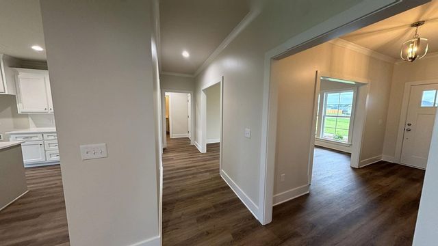 295 Adkinson, Newton, AL 36352
