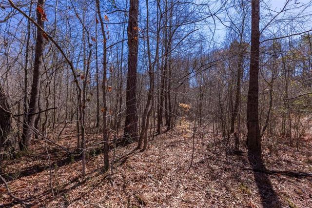 605 Rowe Road, Senoia, GA 30276