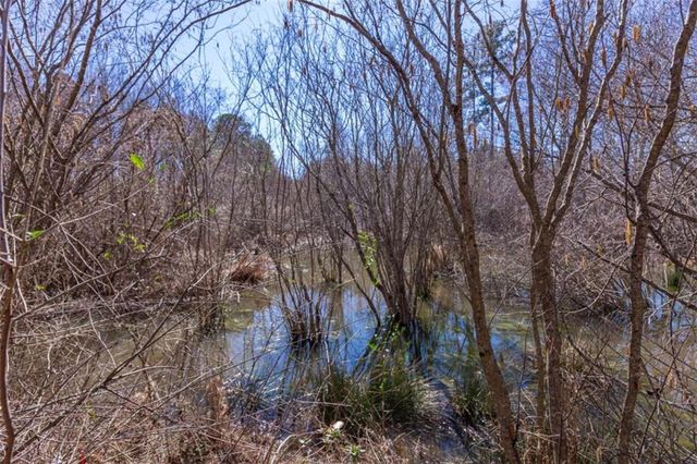 605 Rowe Road, Senoia, GA 30276