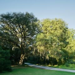 1046 Harmony Hill Lane NE, Townsend, GA 31331