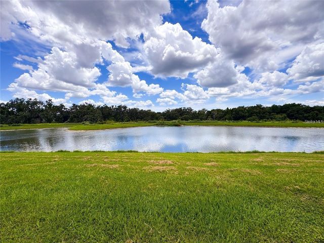 11124 LELAND GROVES DRIVE, Riverview, FL 33579